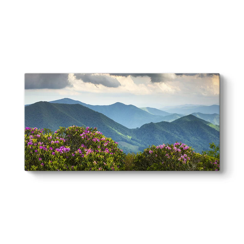 Blue Ridge Dağları Tablosu - Model 5